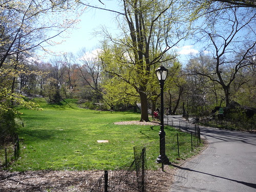 From a Spring Walk in Central Park