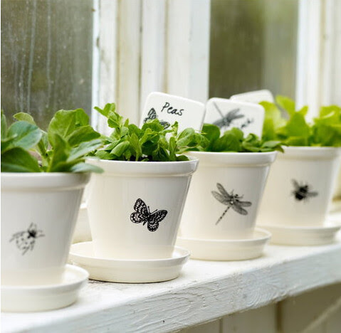 Pots