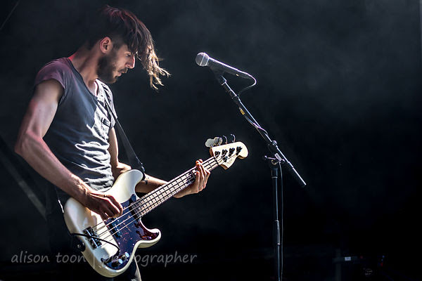 Chris Null, bass, Dead Sara, Aftershock 2013