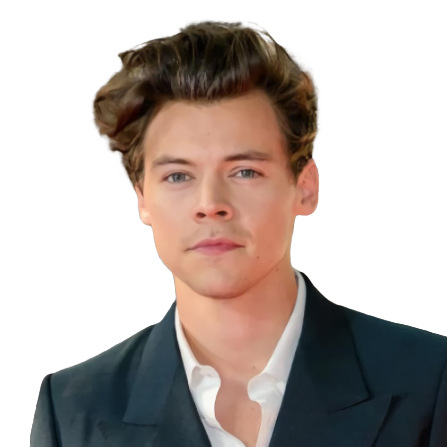Harry Styles PNG Transparent Images | PNG All