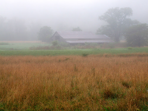 P7174046