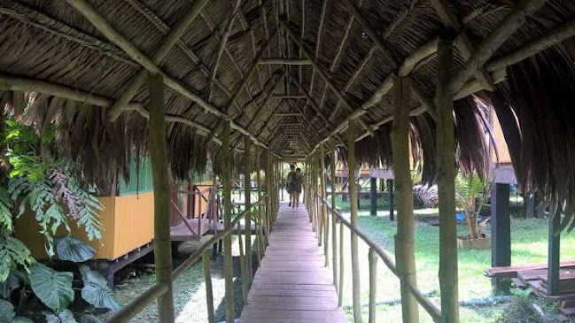Opiniones de Johmer Expedition Tours en Iquitos - Agencia de viajes