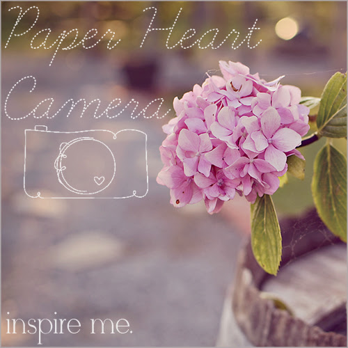 Paper Heart Camera