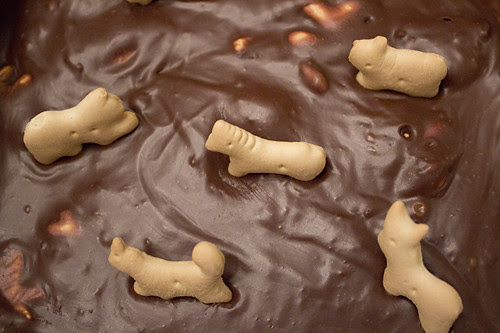 animalLava