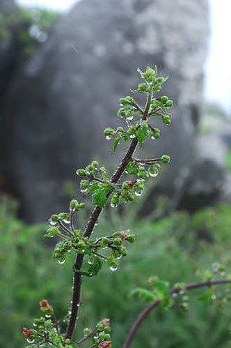 2012 05 19_Nélia Susana173