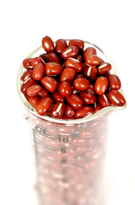 azuki beans© by Haalo