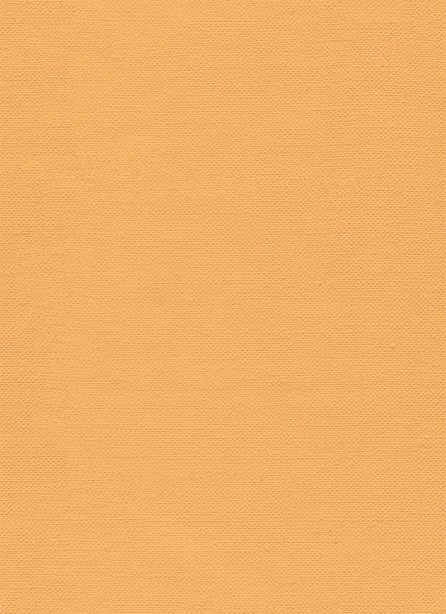 1000以上 オレンジ色 壁紙 1260 オレンジ色 花 壁紙