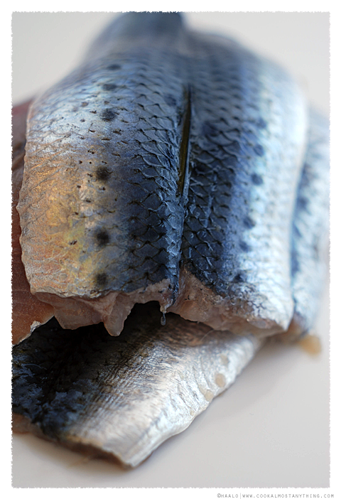 sardine fillets© by Haalo