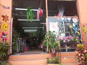 Floricultura 2000