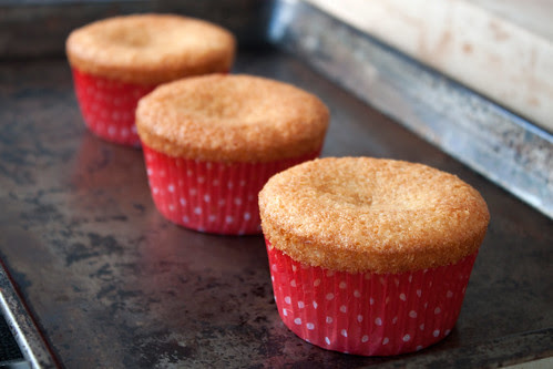 Vanilla Cupcake