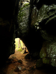Buzzard's Roost