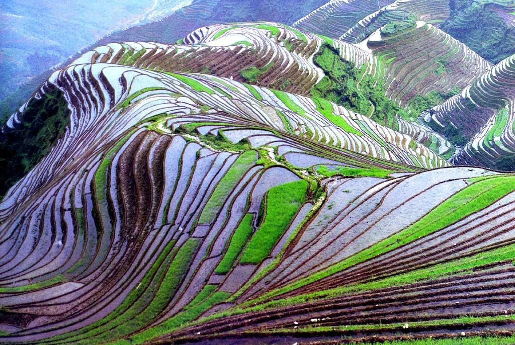 wnycradiolab:


the remote and little known rice terraces of yuanyang county in china’s yunnan province were built by the hani people along the contours of ailao mountain range during the ming dynasty five hundred years ago. the terraces, once planted during the early spring season, are then irrigated with spring water from the forest above, which reflect sunlight to create the images seen here.
photos by jialiang gao, javarman, isabelle chauvel and thierry bornier



A work of art created by fields of rice.