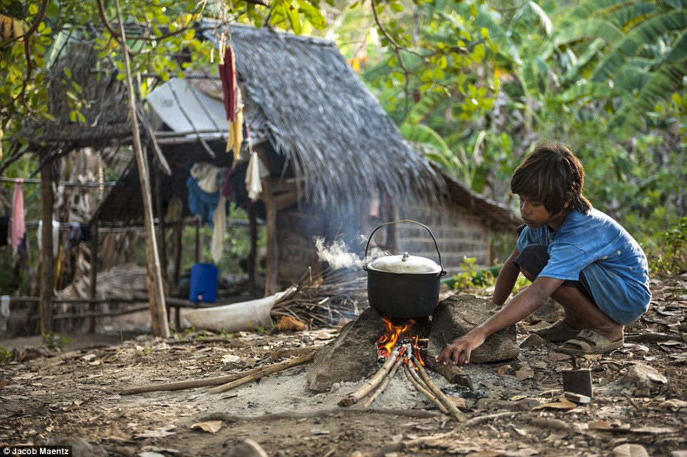 Helping out: A young Tagbanua boy cooking octopus for his family on a fire stove 