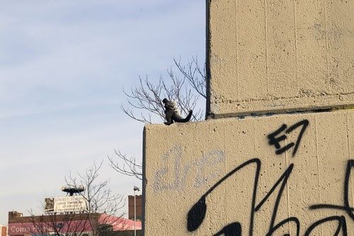 all along the watchtower.jpg