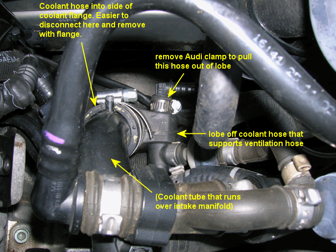 2007 Audi A4 Coolant Flange Replacement Cost Audi Car