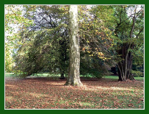 Herbst