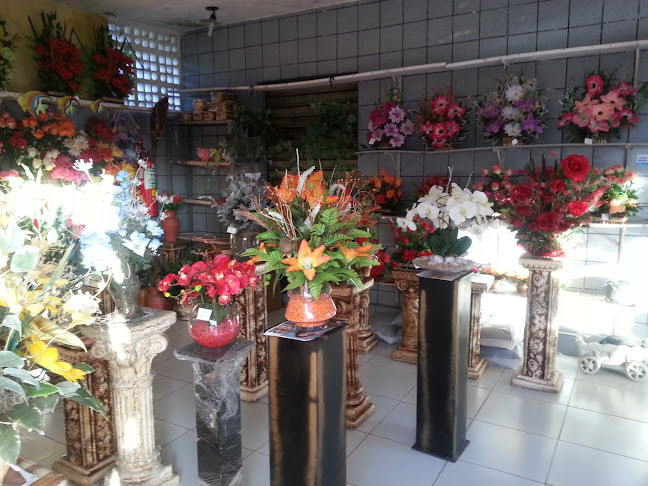 Artesão & Flores - Bellas - João Pessoa