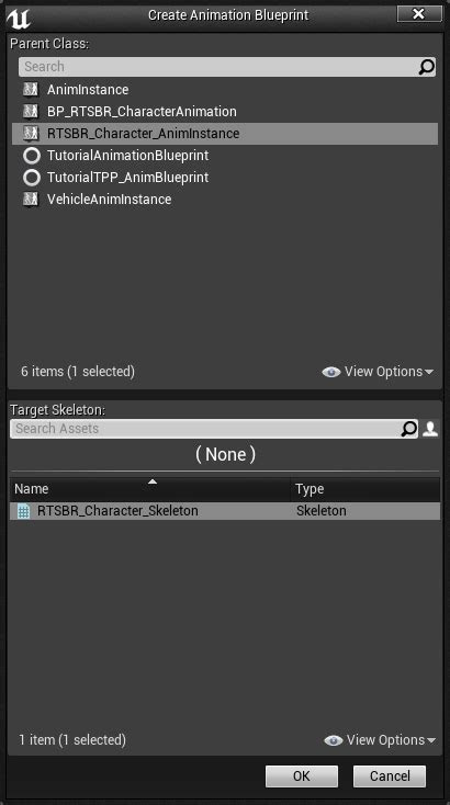 Character Implementation and AnimInstance with C++