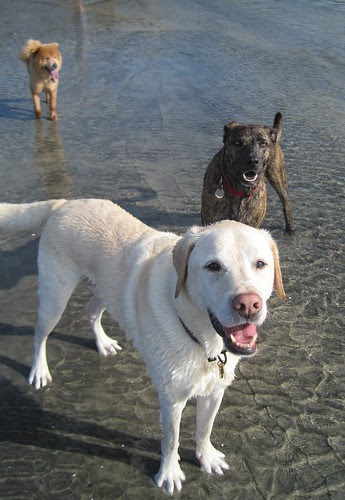 Three Boys