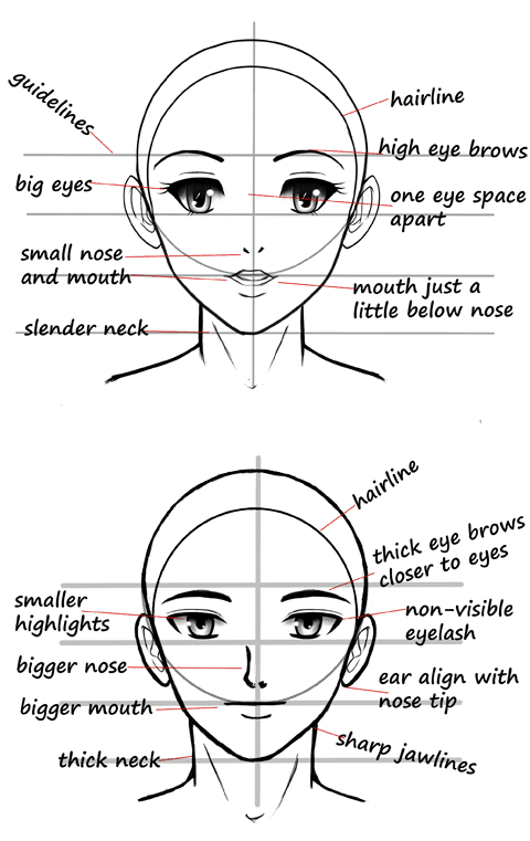 Featured image of post Anime Female Reference Face : Head drawing reference at paintingvalley com explore.