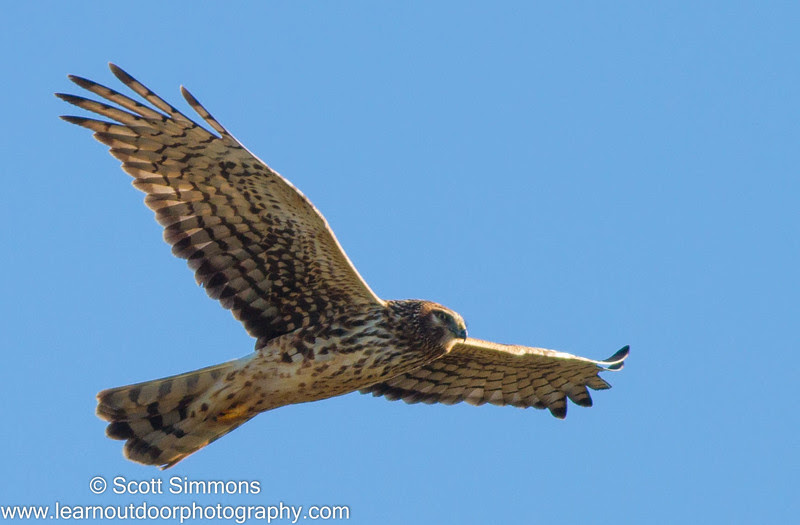 Photo & Video Sharing by SmugMug Photo & Video Sharing by SmugMug