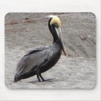 Pelican on Beach Mouse Pad