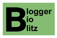 Blogger BioBlitz full-size logo, words only