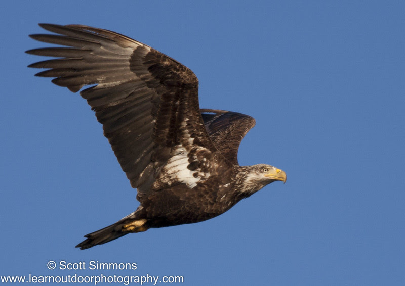 Photo & Video Sharing by SmugMug Photo & Video Sharing by SmugMug