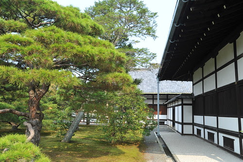 After Japan trip 2011 - day 19. Kyoto. Imperial Palace. Kyoto Tower.