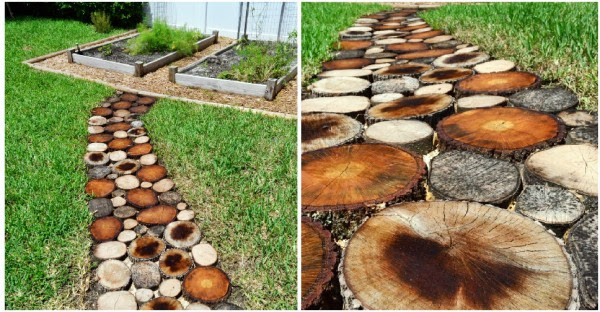 How to Create a Natural Log Pathway 2