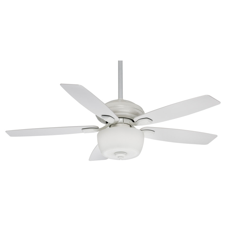Lights For Slanted Ceiling,Light Bulbs For Ceiling Fans,Girl Ceiling Fans With Lights,Cluster Ceiling Lights Uk,Wall And Ceiling Lights To Match,Hampton Bay Ceiling Fan Light Kits,Kitchen Ceiling Lights Argos,Outdoor Ceiling Fan No Light,Low Profile Ceiling Fan Without Light,How To Install Recessed Lighting In Existing Ceiling,Ceiling Fan With Bright Light,Battery Operated Ceiling Light Fixture,Types Of Ceiling Lights,Dining Room Lights For Low Ceilings,Kids Ceiling Fans With Lights,How To Fit Ceiling Light,Ceiling Spot Light Fittings,Retro Ceiling Lights Uk,The Range Ceiling Lights,Multi Coloured Ceiling Lights,Wilko Ceiling Lights,Flush Mount Ceiling Fan With Light And Remote,Outdoor Ceiling Fans Without Lights,Flush Mount Ceiling Fan No Light,Flush Mount Ceiling Fans Without Lights,Bright Ceiling Light Fixtures,Flush Mount Ceiling Fan Without Light,Industrial Ceiling Fans With Lights,Kitchen Ceiling Fans With Bright Lights,Decorative Ceiling Light Panels,Elegant Ceiling Fans With Lights,Double Ceiling Fan With Light,Lights For Angled Ceilings,Clearly Modern Semi Flush Ceiling Light,Ceiling Light Mounting Bracket,Enclosed Ceiling Fan With Light,Hunter Ceiling Fan Light Covers,Led Ceiling Fan Light Bulbs,Ceiling Fan Led Light Bulbs,Hampton Bay Ceiling Fan Light Bulbs,Easy Fit Ceiling Lights,Universal Ceiling Fan Light Kits,Beacon Lighting Ceiling Fans,Hampton Bay Ceiling Fan Light Cover,Colour Changing Ceiling Lights,B & Q Ceiling Lights,Change Light Bulb High Ceiling,High Ceiling Light Bulb Changer,Modern Ceiling Fans With Lights And Remote,Outdoor Ceiling Fan With Light And Remote,Ceiling Fans With Remote Control And Light,Lighting Direct Ceiling Fans,Tropical Ceiling Fan With Light,Ceiling Fan With Crystal Light Kit,24 Ceiling Fan With Light,Led Lights For Garage Ceiling,Entryway Lights Ceiling,White Flush Mount Ceiling Fan With Light,Childrens Ceiling Fans With Lights,Nautical Flush Mount Ceiling Light,Antique White Ceiling Fan With Light,Battery Powered Ceiling Light Fixtures,Designer Ceiling Lights Uk,Vit Oak Wall Clock,Battery Operated Picture Wall Lights,Bathroom Wall Lights B&Q,Battery Operated Wall Mounted Lights,Moroccan Outdoor Wall Lights,Solar Brick Wall Lights,Fused Glass Wall Lights,Wall Picture Lights Battery Operated,Light Switch Controls Wall Outlet,Wall Clock With Led Light,Pull Switches For Wall Lights,12 Volt Outdoor Wall Lights,Wall Light Fittings B&Q,Ikea Plug In Wall Lights,Wall Mount Light Fixtures Indoor,Switched Wall Reading Lights Lights For Slanted Ceiling,Light Bulbs For Ceiling Fans,Girl Ceiling Fans With Lights,Cluster Ceiling Lights Uk,Wall And Ceiling Lights To Match,Hampton Bay Ceiling Fan Light Kits,Kitchen Ceiling Lights Argos,Outdoor Ceiling Fan No Light,Low Profile Ceiling Fan Without Light,How To Install Recessed Lighting In Existing Ceiling,Ceiling Fan With Bright Light,Battery Operated Ceiling Light Fixture,Types Of Ceiling Lights,Dining Room Lights For Low Ceilings,Kids Ceiling Fans With Lights,How To Fit Ceiling Light,Ceiling Spot Light Fittings,Retro Ceiling Lights Uk,The Range Ceiling Lights,Multi Coloured Ceiling Lights,Wilko Ceiling Lights,Flush Mount Ceiling Fan With Light And Remote,Outdoor Ceiling Fans Without Lights,Flush Mount Ceiling Fan No Light,Flush Mount Ceiling Fans Without Lights,Bright Ceiling Light Fixtures,Flush Mount Ceiling Fan Without Light,Industrial Ceiling Fans With Lights,Kitchen Ceiling Fans With Bright Lights,Decorative Ceiling Light Panels,Elegant Ceiling Fans With Lights,Double Ceiling Fan With Light,Lights For Angled Ceilings,Clearly Modern Semi Flush Ceiling Light,Ceiling Light Mounting Bracket,Enclosed Ceiling Fan With Light,Hunter Ceiling Fan Light Covers,Led Ceiling Fan Light Bulbs,Ceiling Fan Led Light Bulbs,Hampton Bay Ceiling Fan Light Bulbs,Easy Fit Ceiling Lights,Universal Ceiling Fan Light Kits,Beacon Lighting Ceiling Fans,Hampton Bay Ceiling Fan Light Cover,Colour Changing Ceiling Lights,B & Q Ceiling Lights,Change Light Bulb High Ceiling,High Ceiling Light Bulb Changer,Modern Ceiling Fans With Lights And Remote,Outdoor Ceiling Fan With Light And Remote,Ceiling Fans With Remote Control And Light,Lighting Direct Ceiling Fans,Tropical Ceiling Fan With Light,Ceiling Fan With Crystal Light Kit,24 Ceiling Fan With Light,Led Lights For Garage Ceiling,Entryway Lights Ceiling,White Flush Mount Ceiling Fan With Light,Childrens Ceiling Fans With Lights,Nautical Flush Mount Ceiling Light,Antique White Ceiling Fan With Light,Battery Powered Ceiling Light Fixtures,Designer Ceiling Lights Uk,Vit Oak Wall Clock Battery Operated Picture Wall Lights Bathroom Wall Lights B&Q Battery Operated Wall Mounted Lights Moroccan Outdoor Wall Lights Solar Brick Wall Lights Fused Glass Wall Lights Wall Picture Lights Battery Operated Light Switch Controls Wall Outlet Wall Clock With Led Light Pull Switches For Wall Lights 12 Volt Outdoor Wall Lights Wall Light Fittings B&Q Ikea Plug In Wall Lights Wall Mount Light Fixtures Indoor Switched Wall Reading Lights