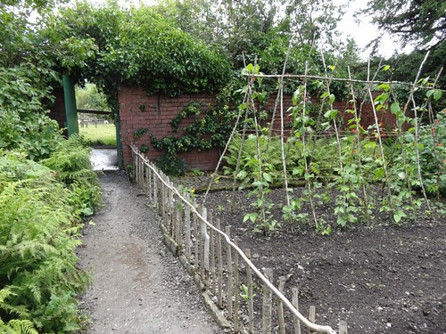 The vegetable garden at Hilltop