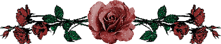 AllieKatzGraphics.com!