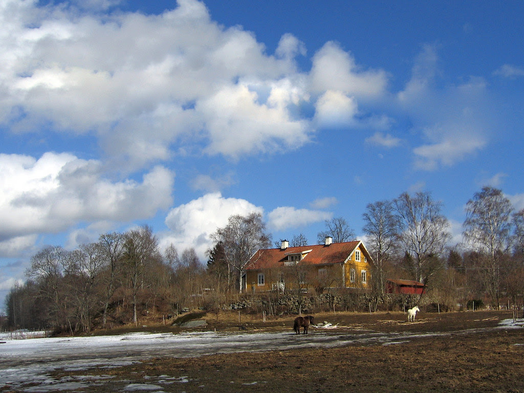 Spring at the horse farm