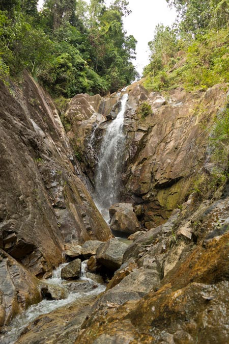 Gunung Pulai in Johor Rainforest Journal Gunung Pulai in Johor Rainforest Journal