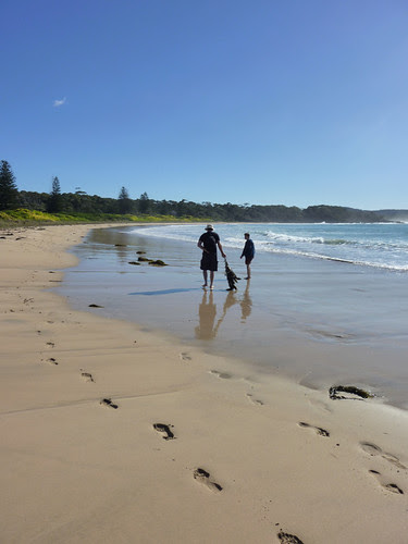 seaweed dragging