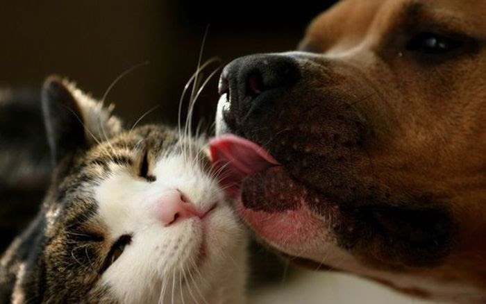 Acid Picdump (88 pics) Acid Picdump (88 pics)