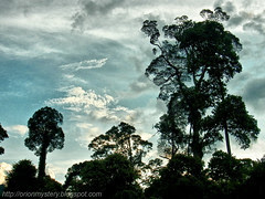 beautiful sunset in maliau basin R0012450 copy