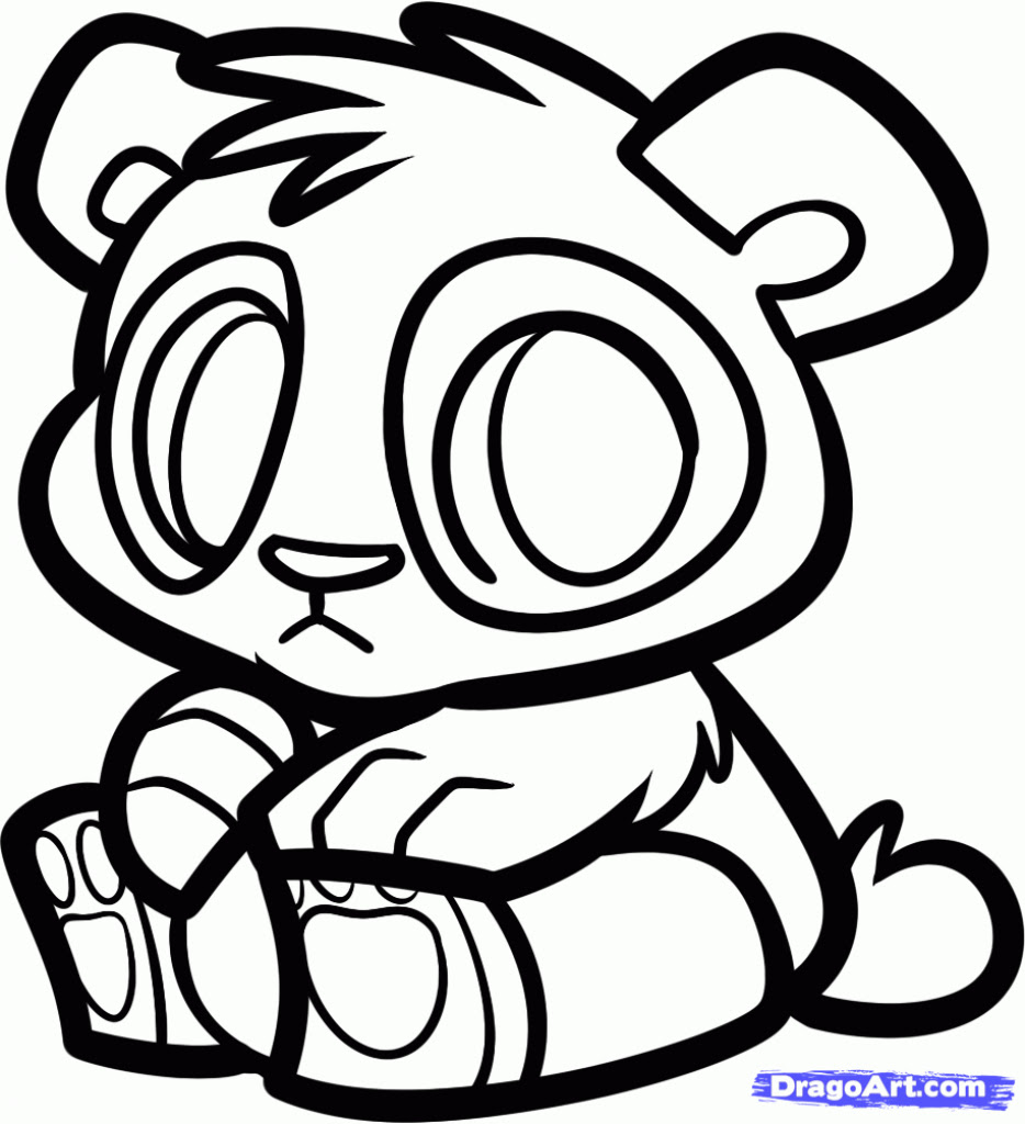 Featured image of post Combo Panda Drawing Their striped tails and mask on the face make them similar on first sight but that s basically the