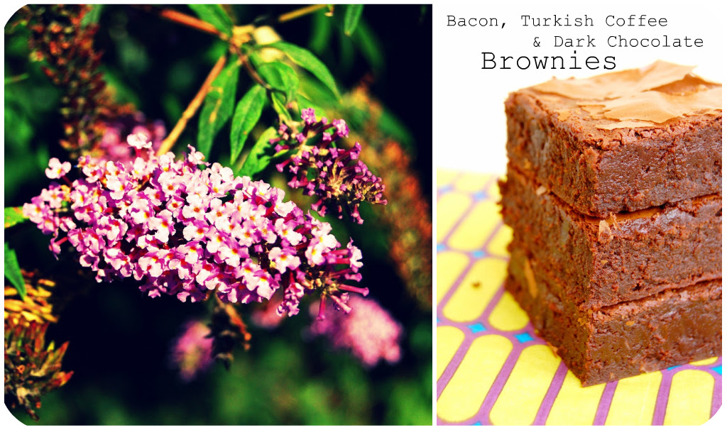 Bacon Brownies Picnik collage 4 bis