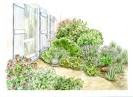 Herb Garden Design Plans: A 21st Century Healing Garden