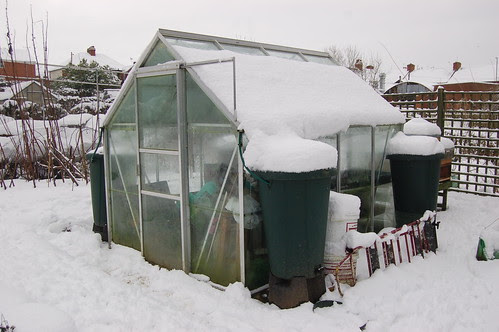allotment snow Jan 13 3