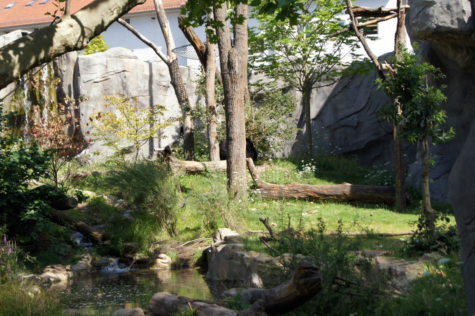photo DSC00466Large.jpg