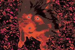 Fire Dog
