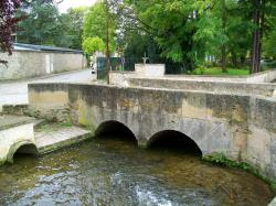 COYE-LA-FORET