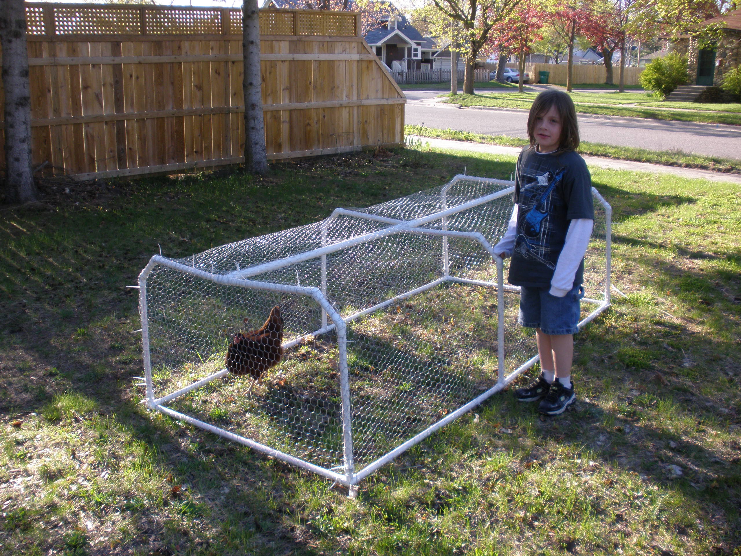 where-to-get-build-chicken-tractor-pallets-caroyln-hendrickson