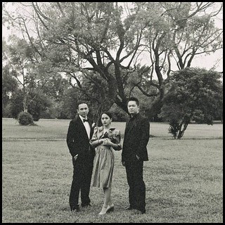 Pitch Feather - Cover