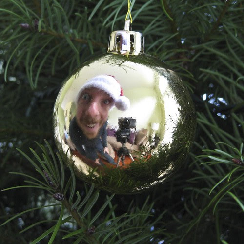 Christmas Ornament Christmas Ornament Reflection