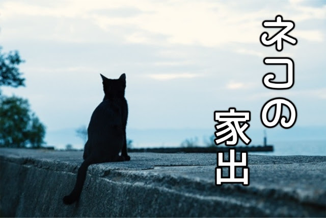 猫 家出 理由 壁紙画像マンガ