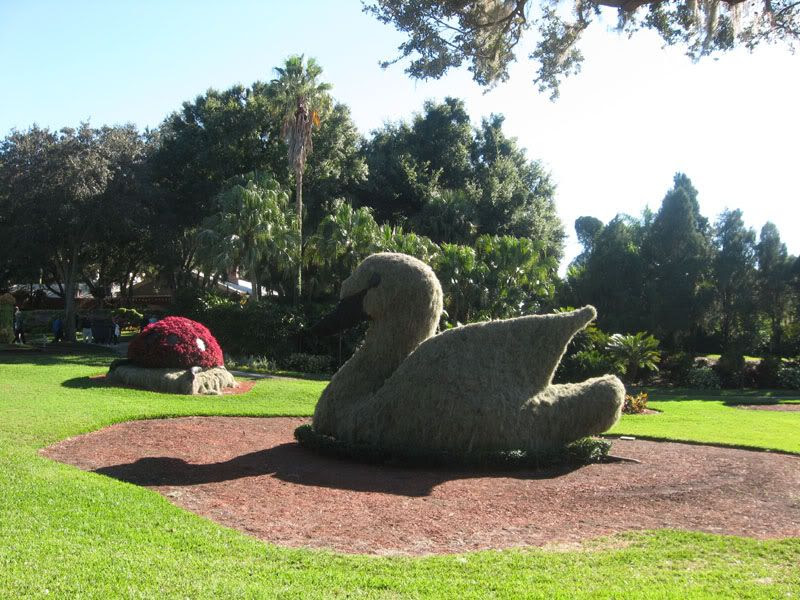 Spanish Moss Swan